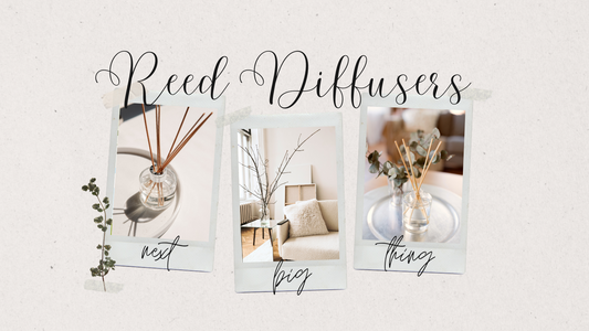 Embracing Fragrance Elegance: Why Reed Diffusers Are the Next Big Thing - STANZA Artigiana