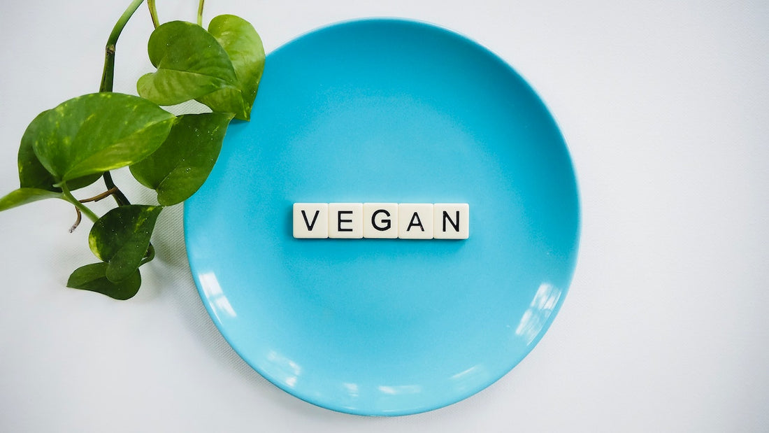 The Benefits of a Vegan Diet: Why You Should Consider Making the Switch Today - STANZA Artigiana