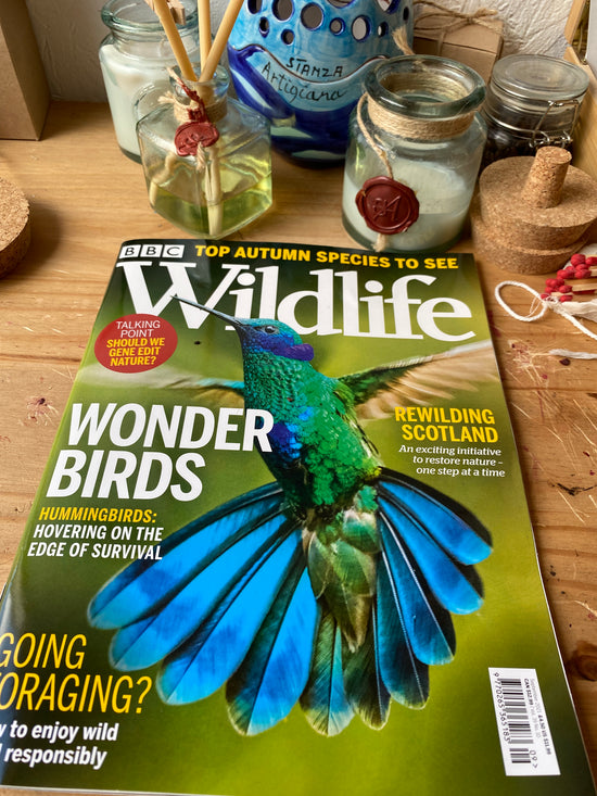 Wildlife magazine